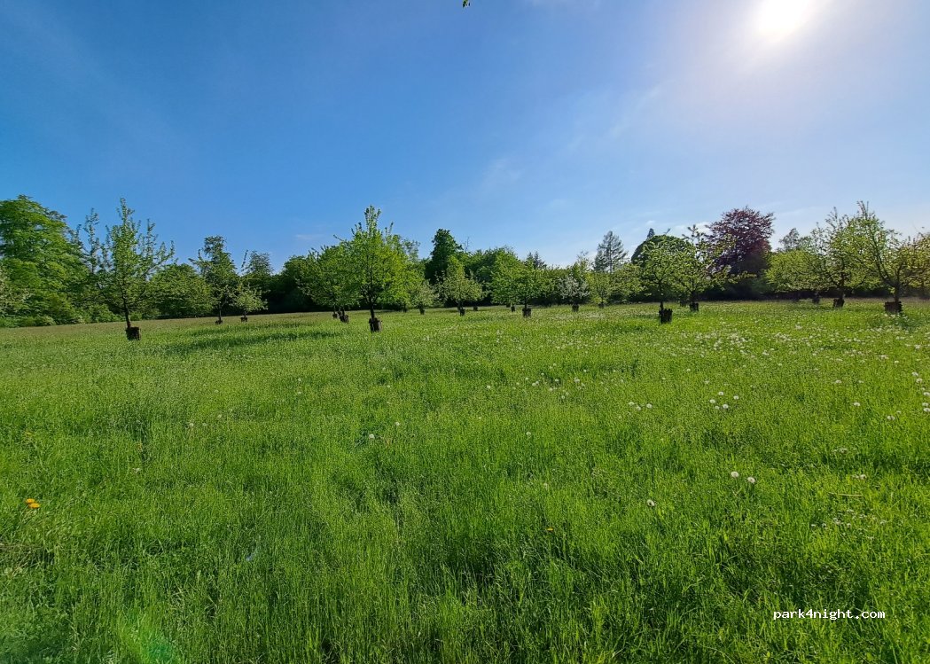 (31840) Hessisch Oldendorf - 40 Dachtelfeldstraße — foto 2