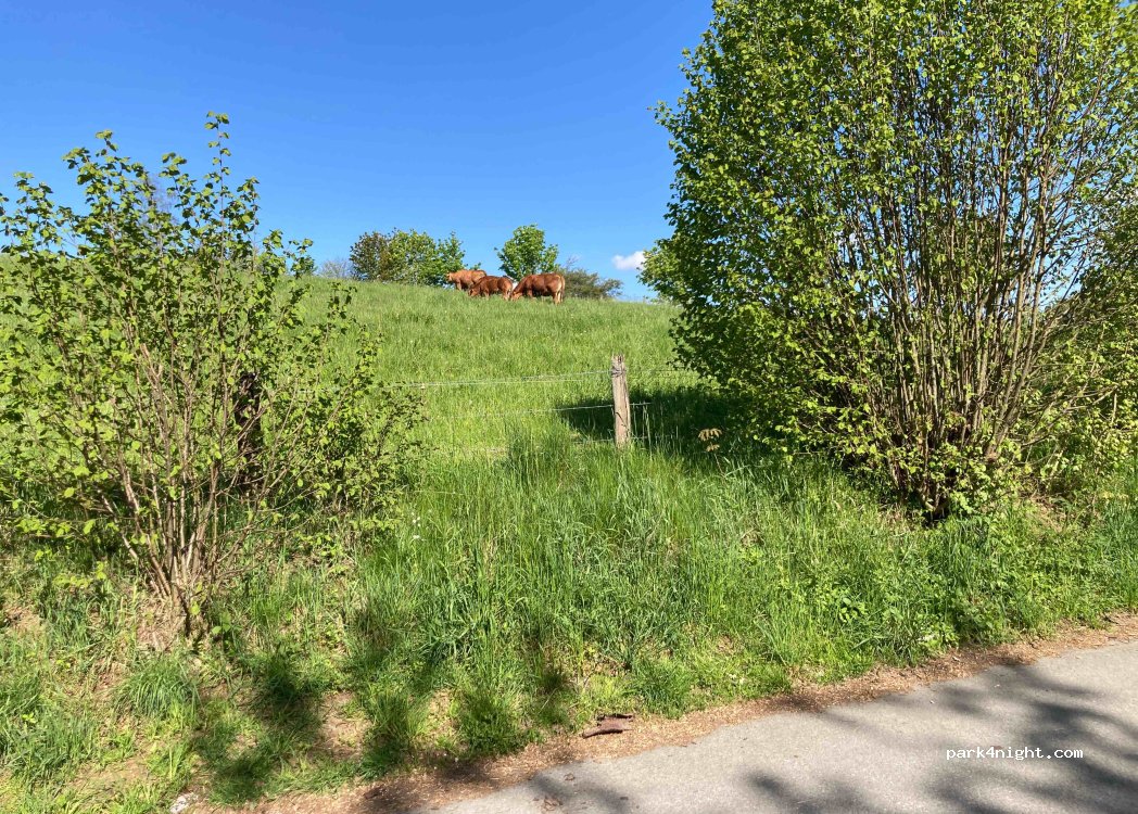 (57319) Bad Berleburg - L718 — foto