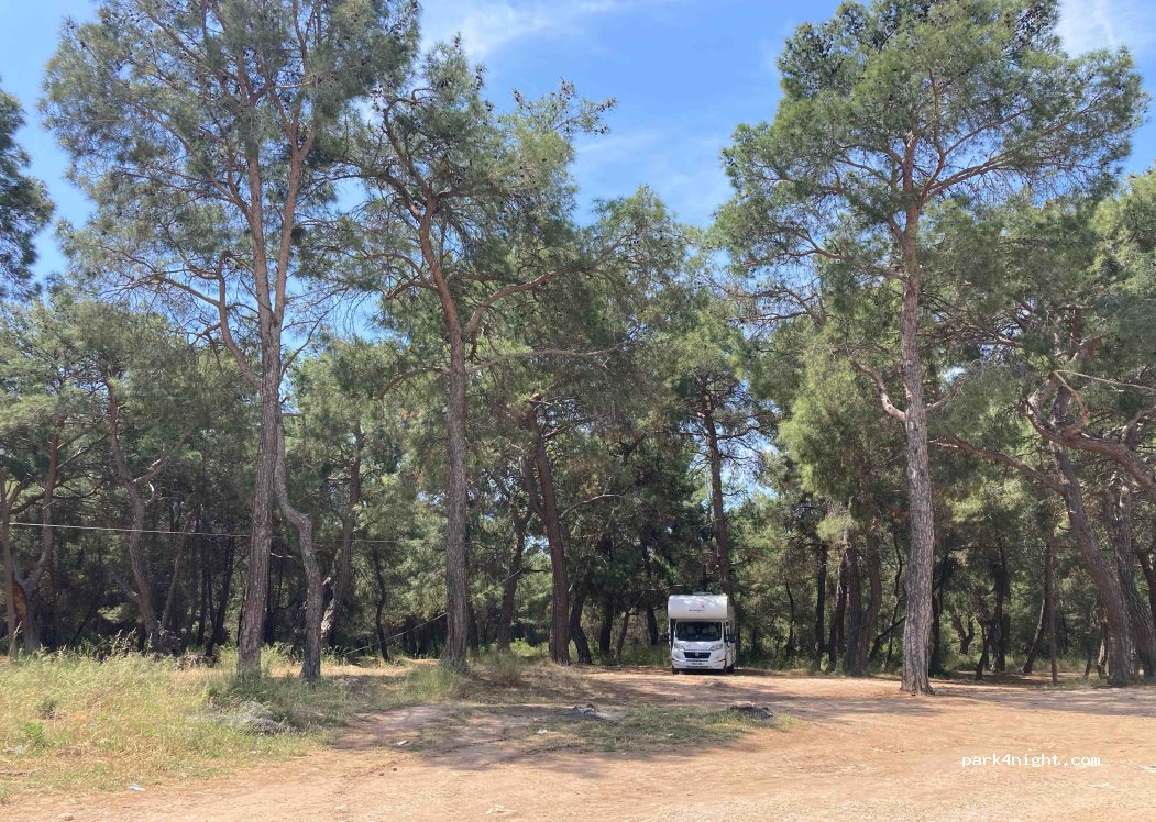 (07970) Çavdır Mahallesi - Çavdır Caddesi — foto