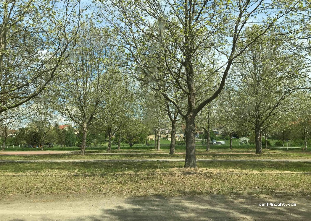 (06449) Seeland - Unnamed Road — foto 2