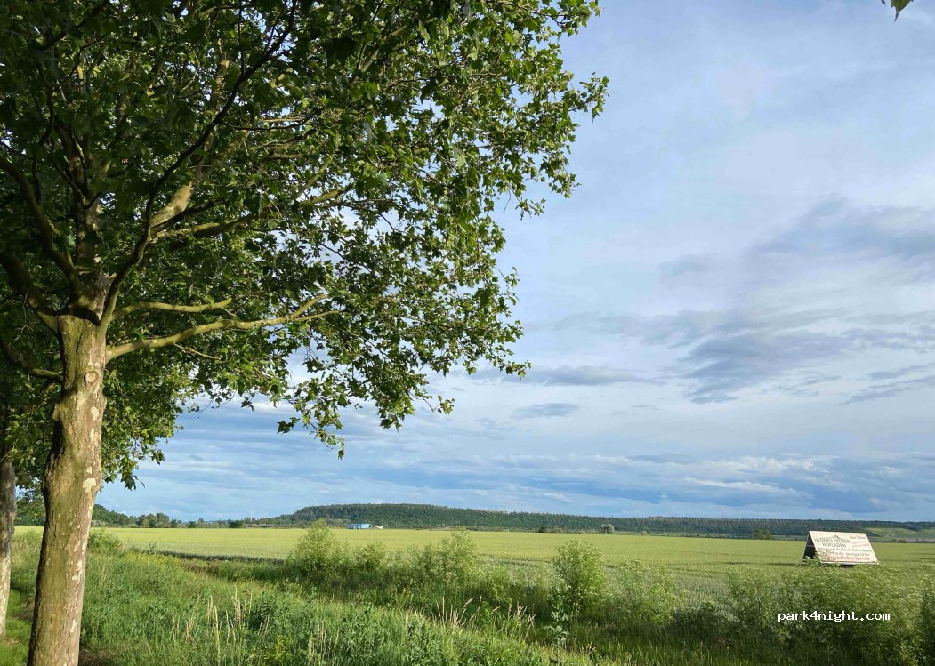 (06449) Seeland - Unnamed Road — foto 3