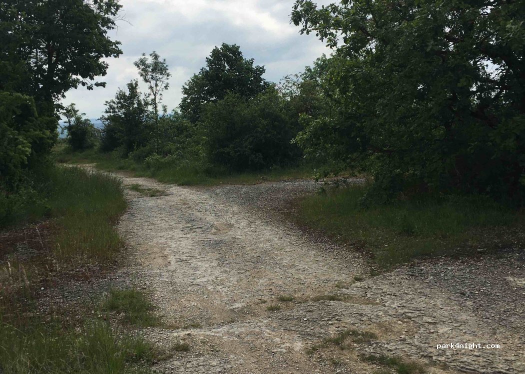 (38460) Trept - 998 Chemin des Petites Roches — foto 2