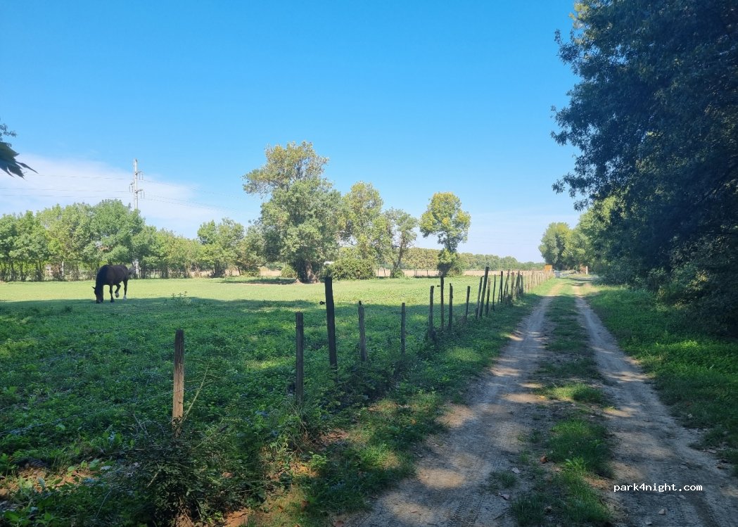 (30740) Le Cailar - Pré des Mauves — foto 2