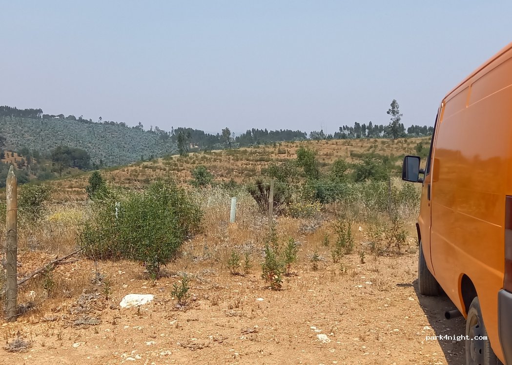 (7630) São Martinho das Amoreiras - Unnamed road — foto