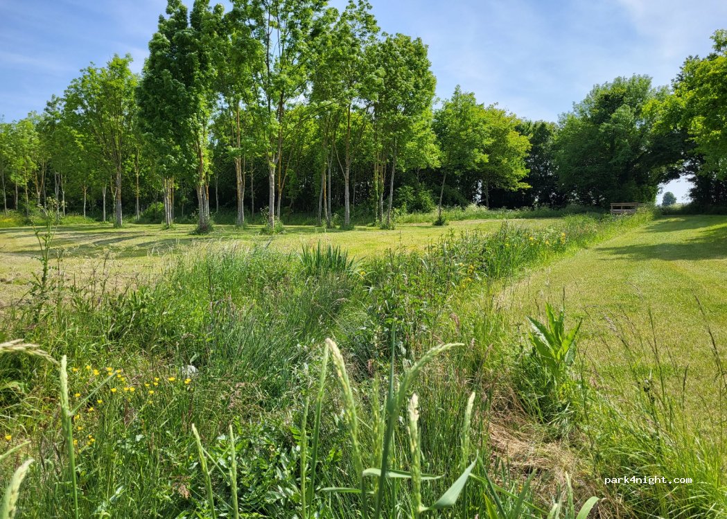 () Brissac-Loire-Aubance - D423 — foto 3