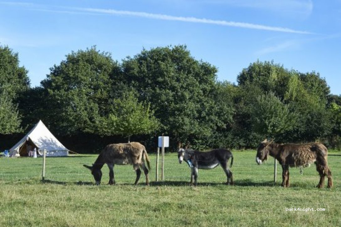 Camping Ferme de Croas Men — foto 4