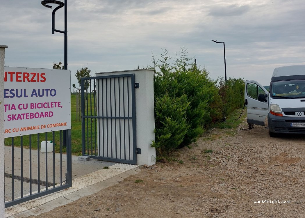 (317235) Pecica - Unnamed Road — foto
