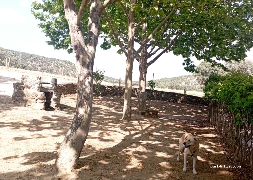 (45643) Garciotum - Unnamed Road — foto