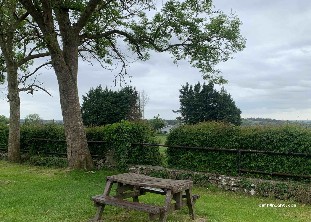 (N37 PX51) Newforest - N55 — foto 2