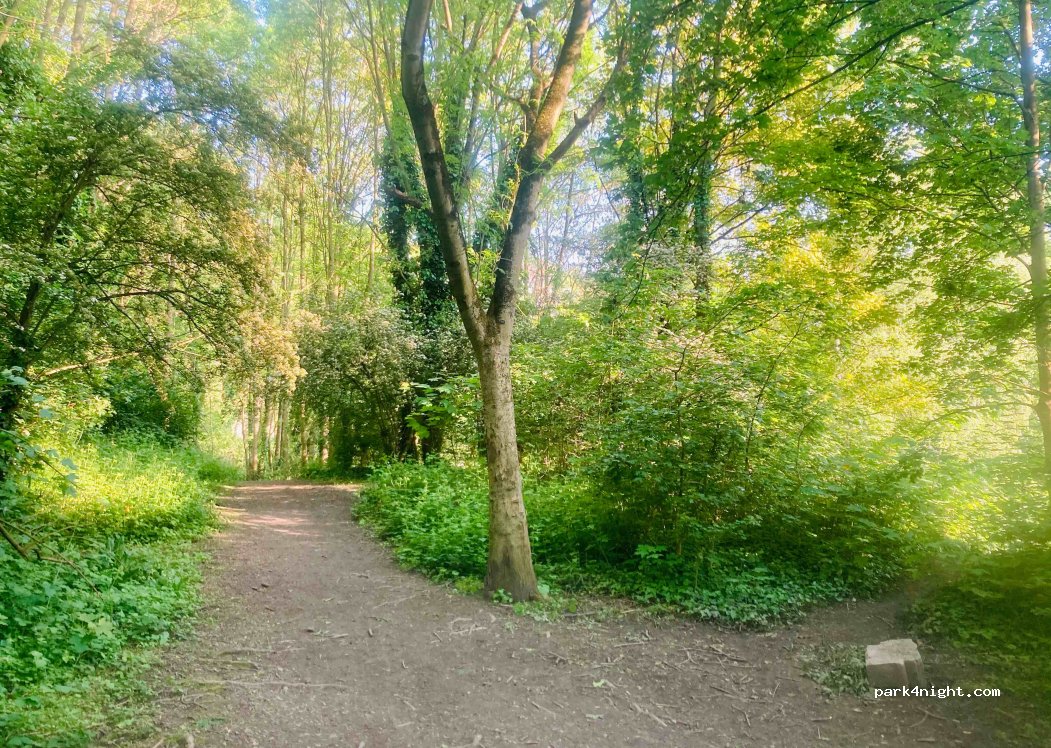 (4000) Liège - 27 Rue Jean Haust — foto 3