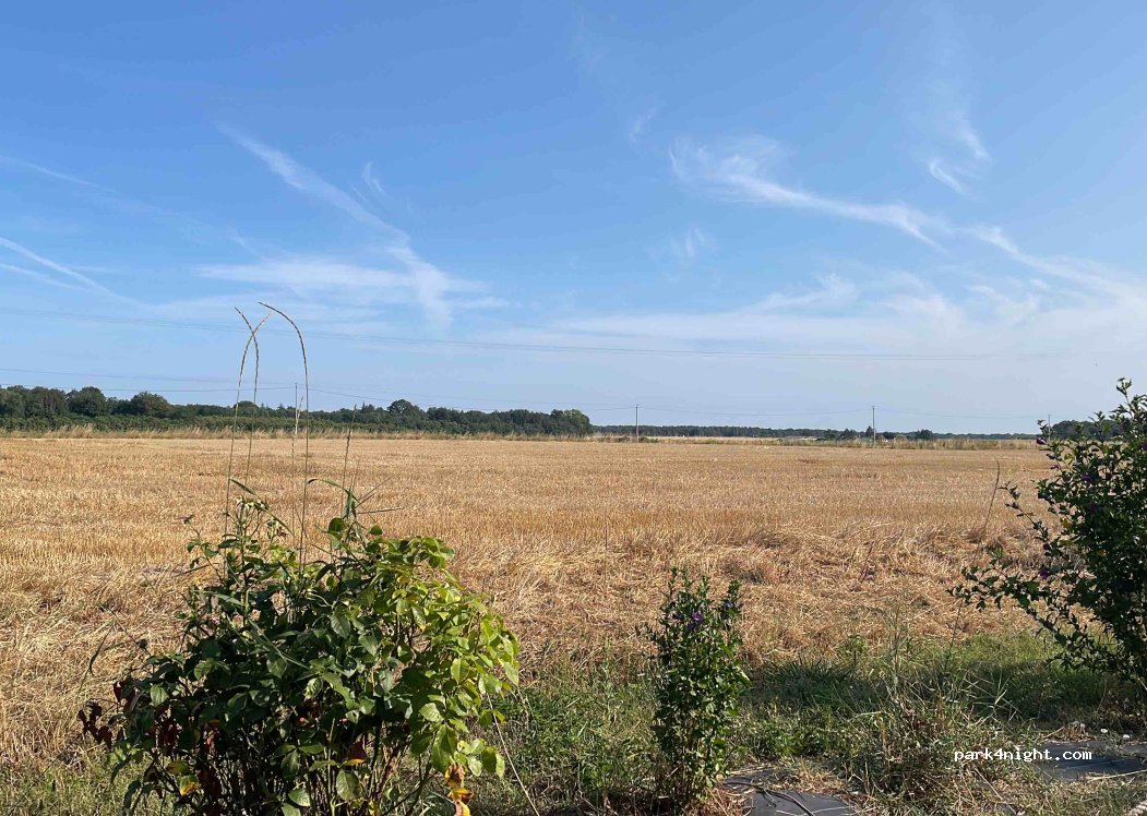 Ferme de la Fringale — foto 3