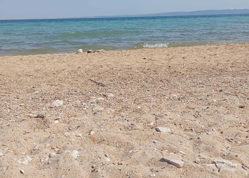 Danisment Orman Kamping — foto 4