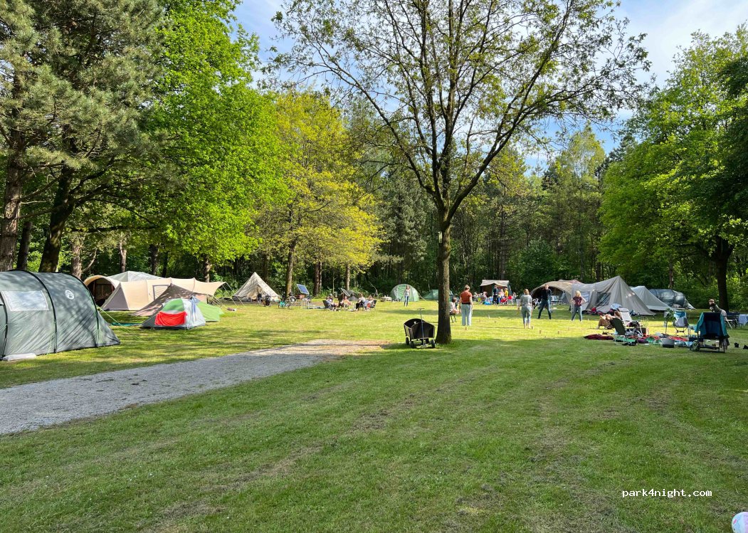 Natuurcamping De Altena — foto 2