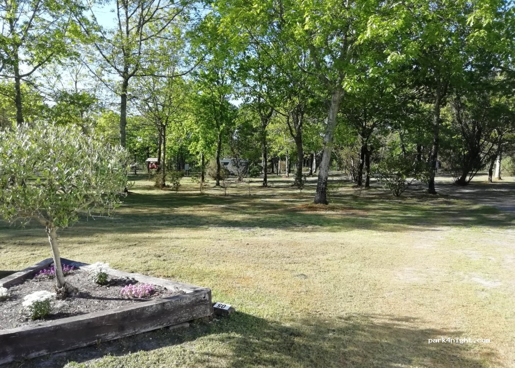 Camping Arbousiers — foto 2