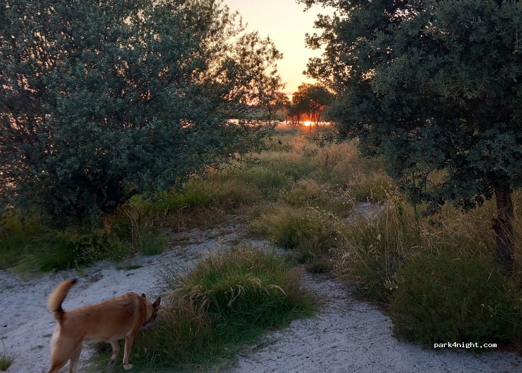 (6440) Vilar Torpim - Unnamed Road — foto 3