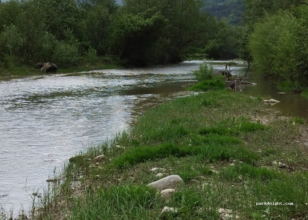(607368) Hârja - — foto