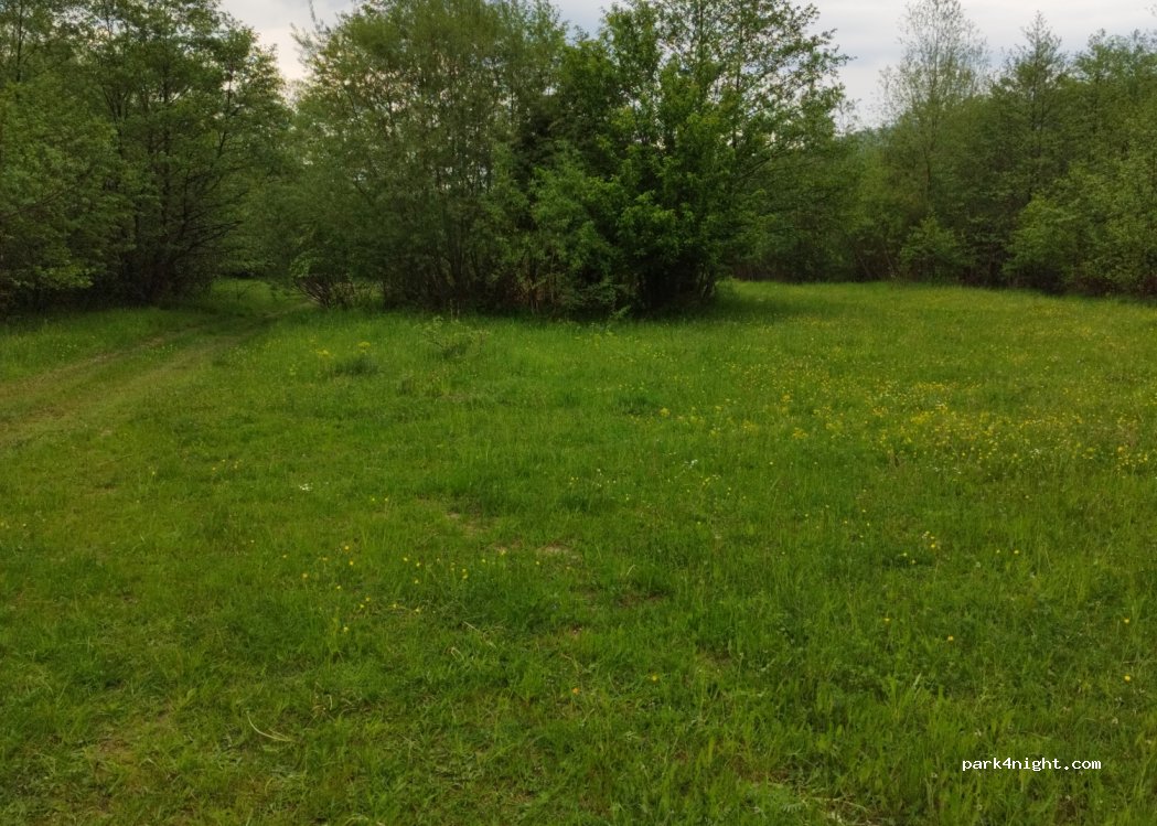 (607368) Hârja - — foto 2