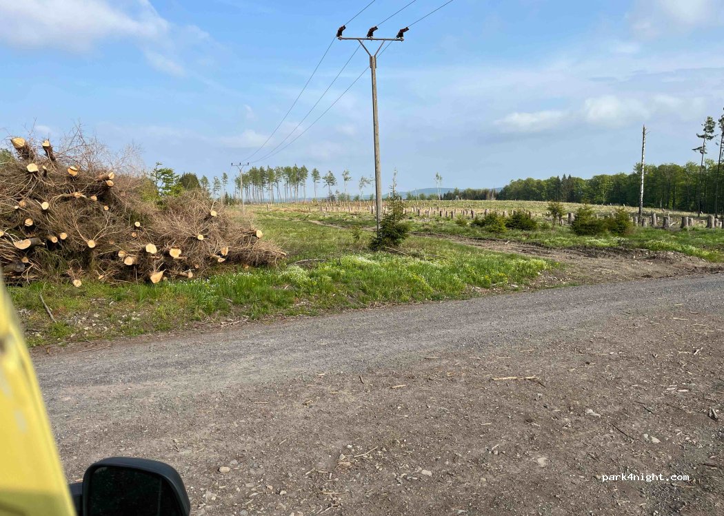 (99755) Ellrich - — foto