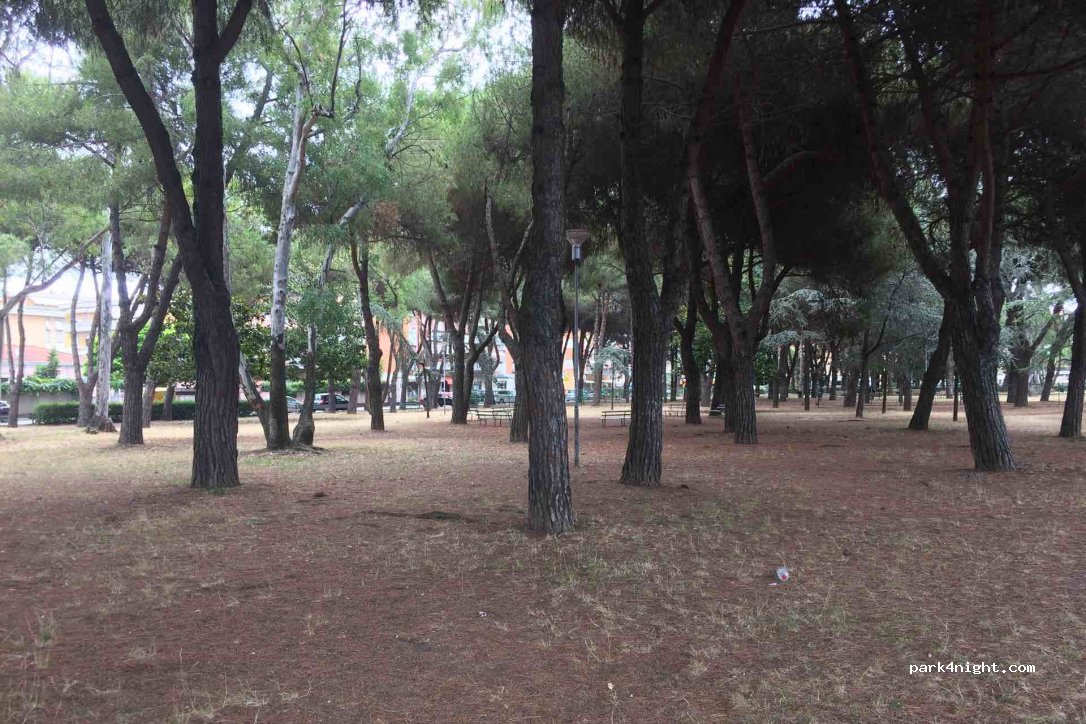 (54033) Carrara - 60 Via Bassagrande — foto