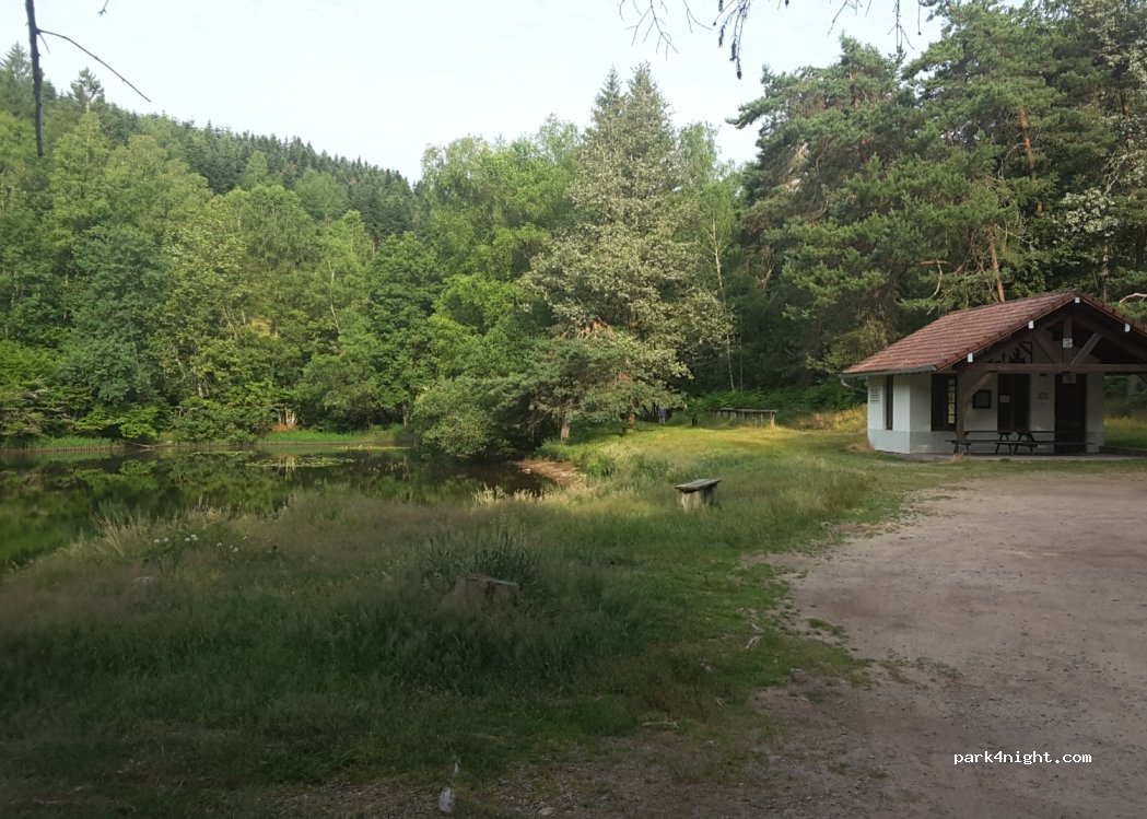 (88160) Fresse-sur-Moselle - 5 Chemin de l'Étang — foto 2