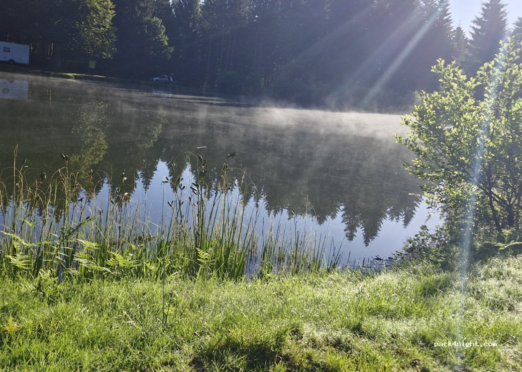 (88160) Fresse-sur-Moselle - 5 Chemin de l'Étang — foto 3