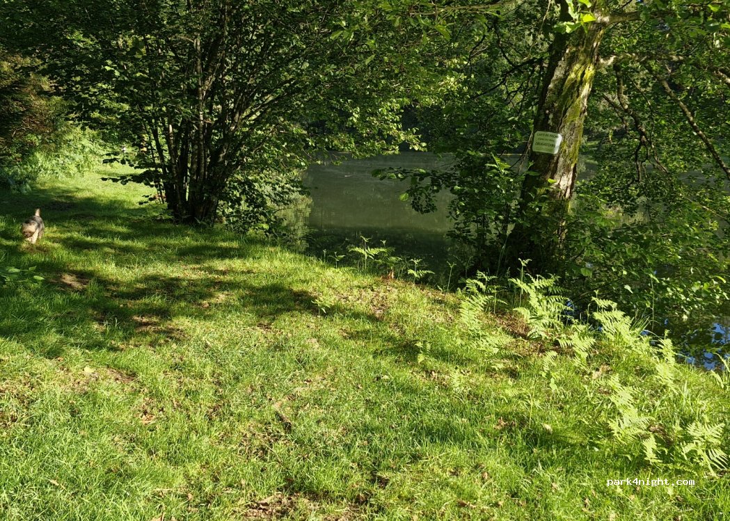 (88160) Fresse-sur-Moselle - 5 Chemin de l'Étang — foto 4