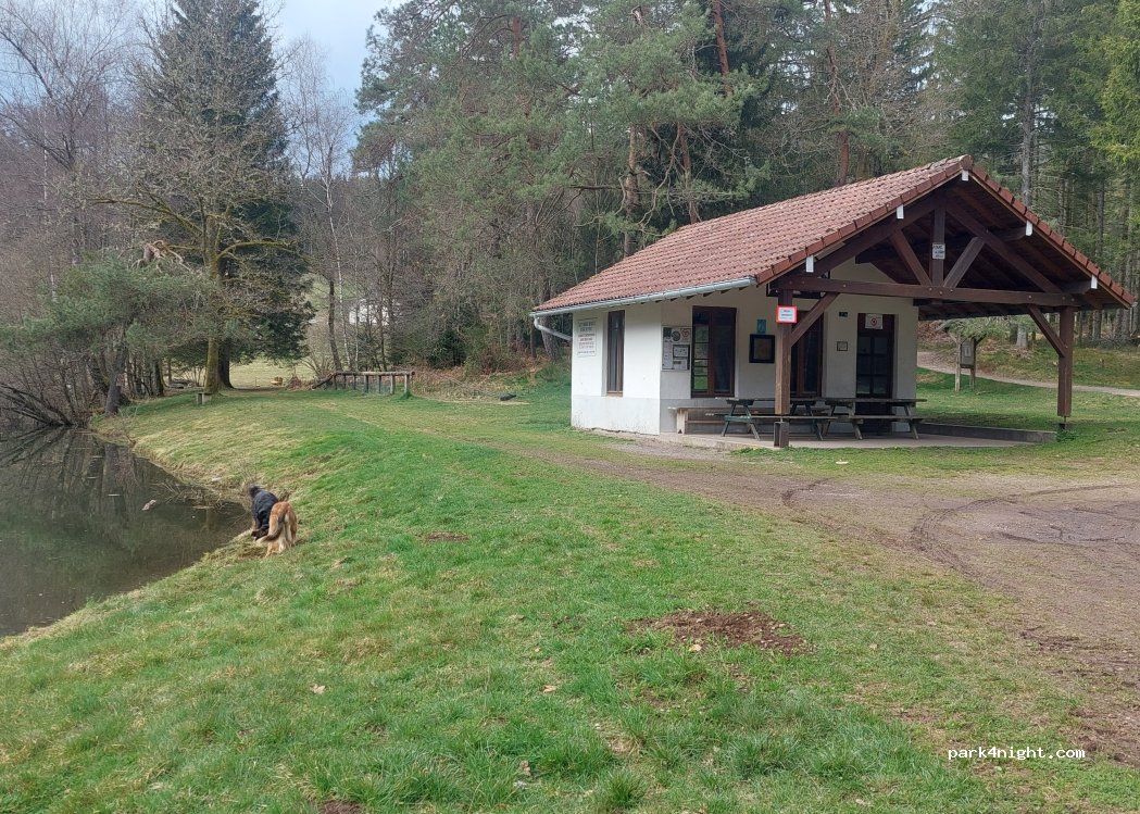 (88160) Fresse-sur-Moselle - 5 Chemin de l'Étang — foto 5