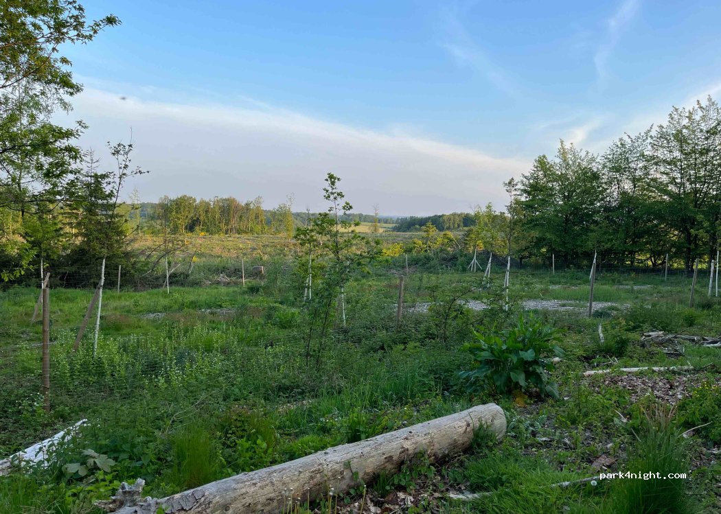 (51688) Wipperfürth - Unnamed Road — foto