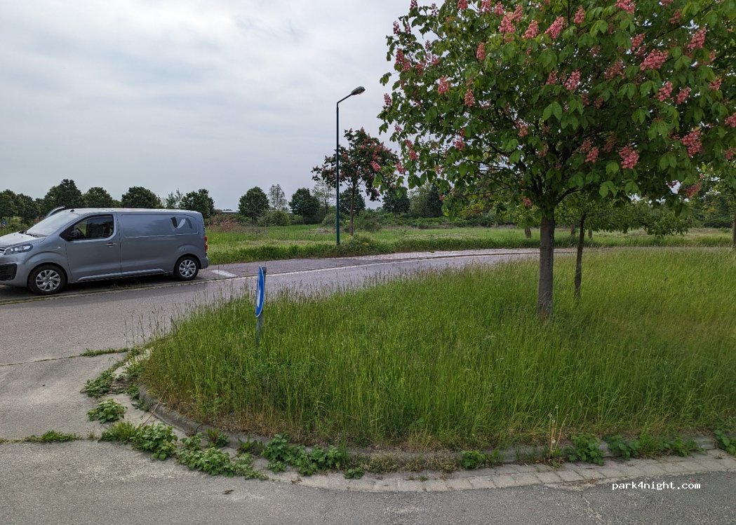 (15236) Frankfurt (Oder) - 10 Lise-Meitner-Straße — foto