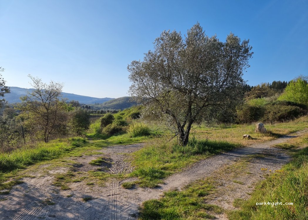(50022) Greve in Chianti - 4B Via San Cresci — foto 4