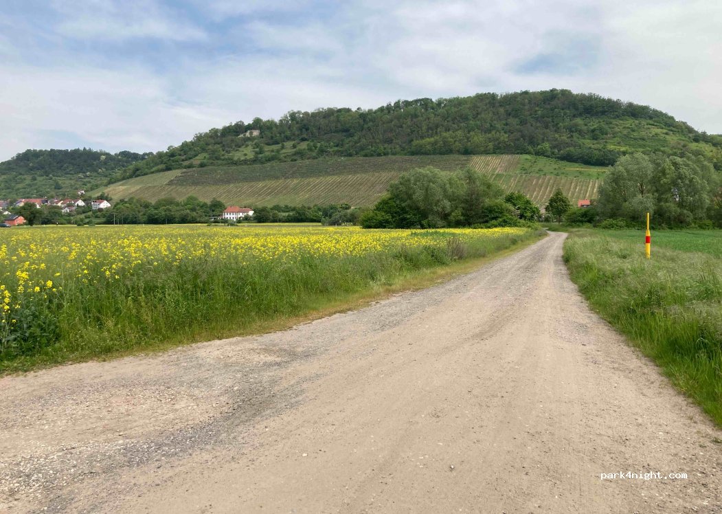 (97475) Zeil am Main - Ziegelanger — foto 3