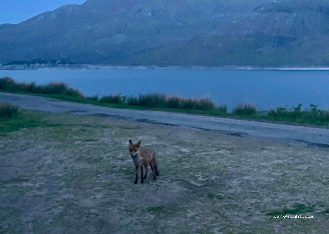 (PH35 4HD) Kinloch Hourn - — foto 3