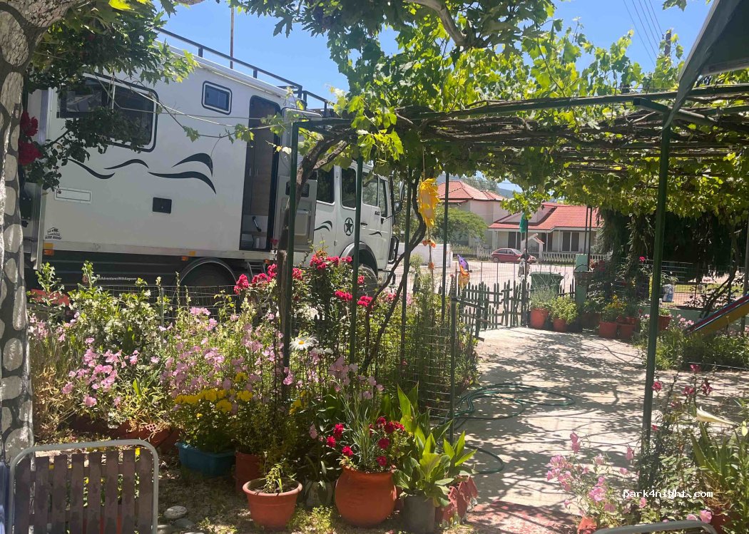 Cafe Platanos — foto 2