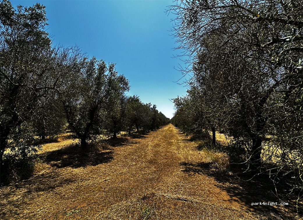 EcoFarm In Salento — foto 5