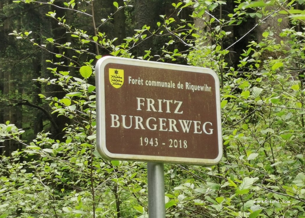 (68340) Riquewihr - — foto