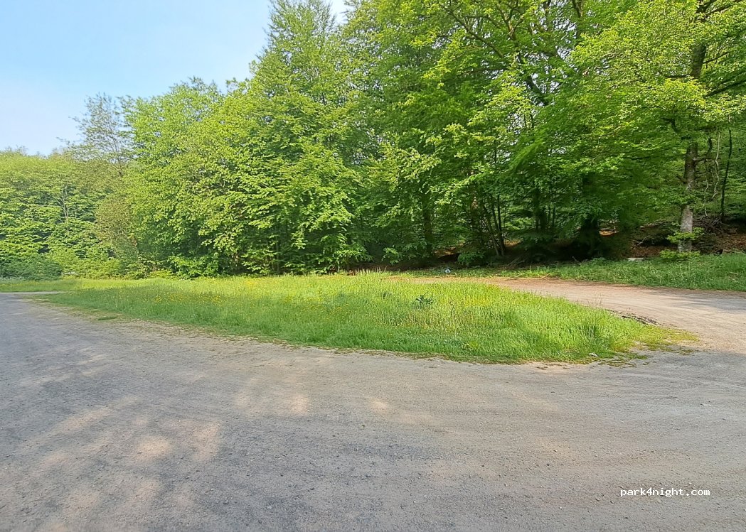 (08090) Damouzy - Unnamed road — foto