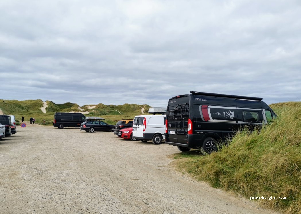 (6950) Ringkøbing - 65 Sortebærdalen — foto 4