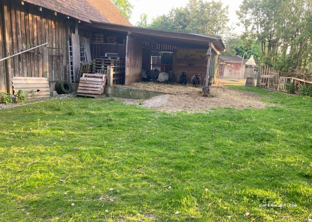 (88326) Aulendorf - Geiger 3 — foto 3