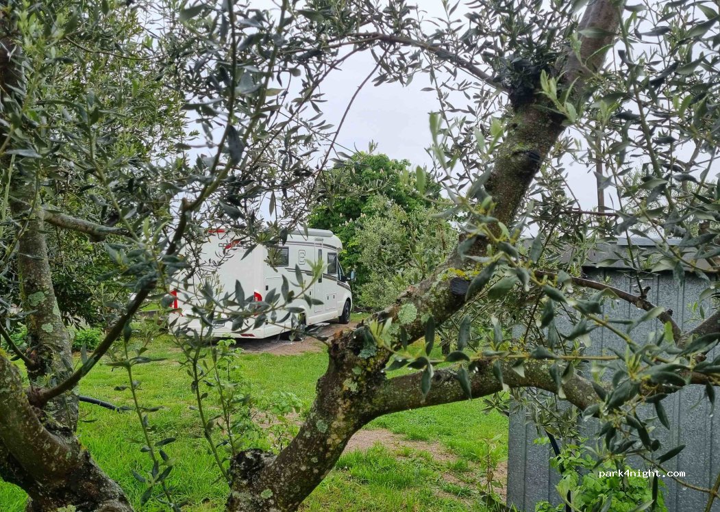 Farm stay Domačija Butul — foto