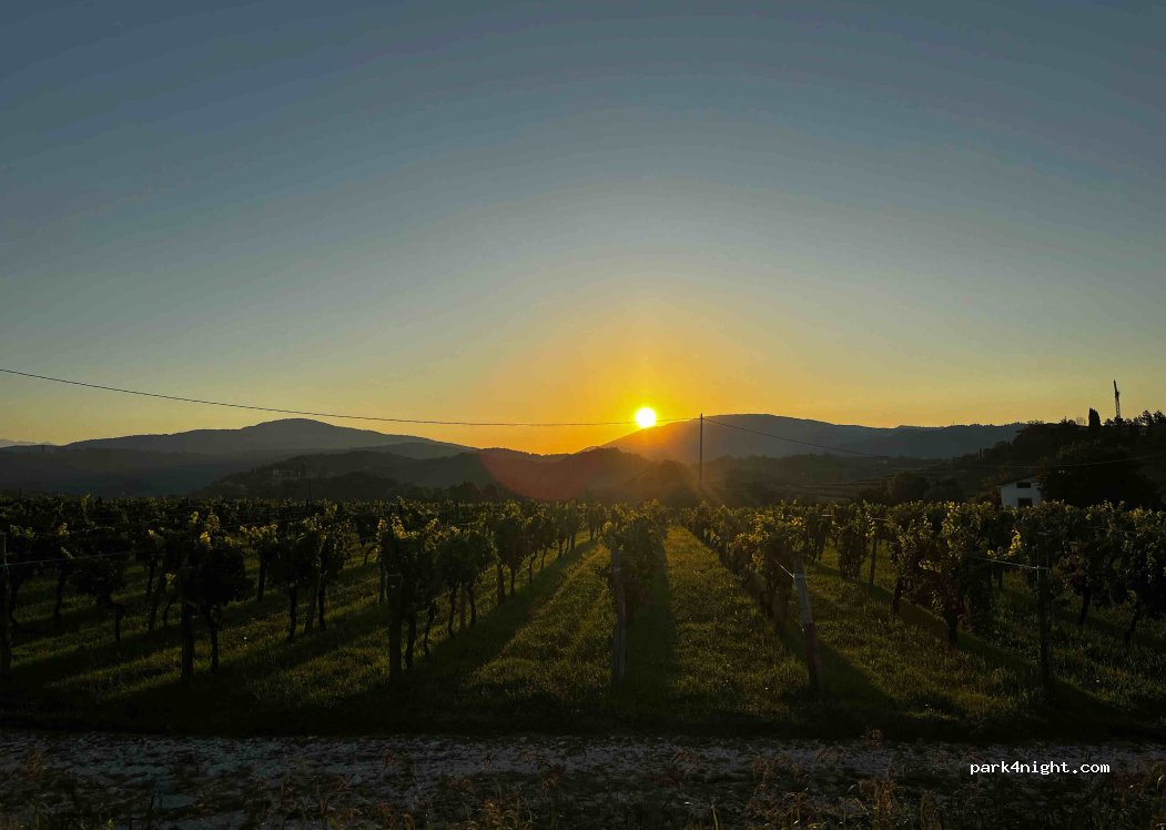 Camping Borgo dei Sapori di Irene Cencig - Agriturismo e Vino Biologico — foto 2