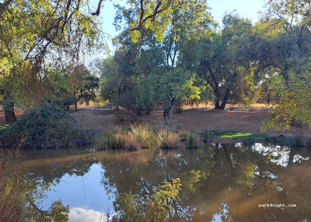 (13194) Pueblonuevo del Bullaque - Unnamed Road — foto 4