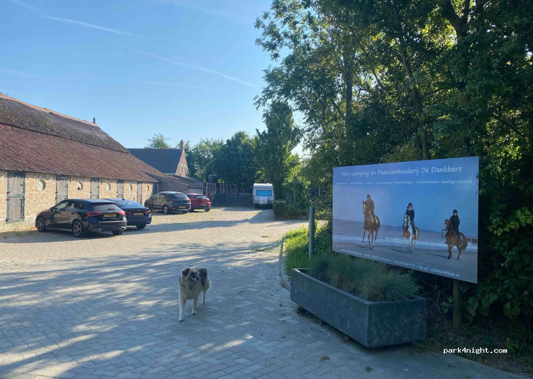 De Dankbare — foto 3