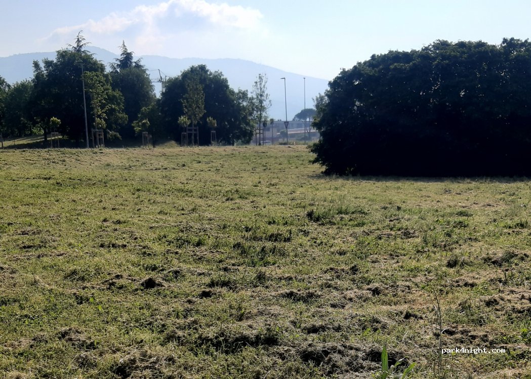 (50019) Sesto Fiorentino - 211 Via Bruno Sarri — foto