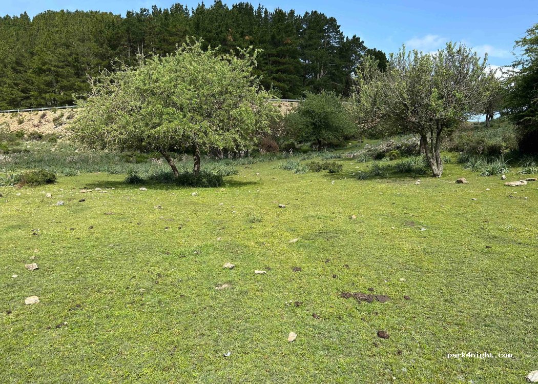 (08049) Villagrande Strisaili - — foto