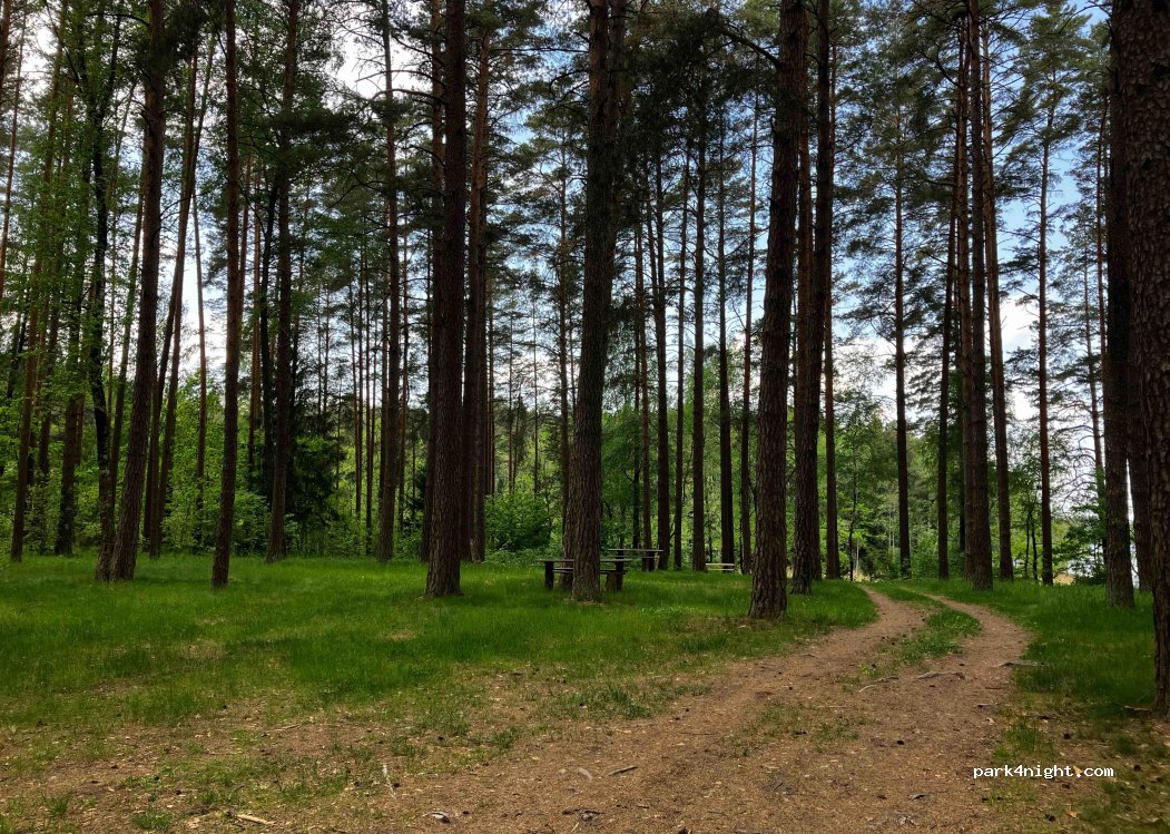 (16) Zelwa - — foto 2