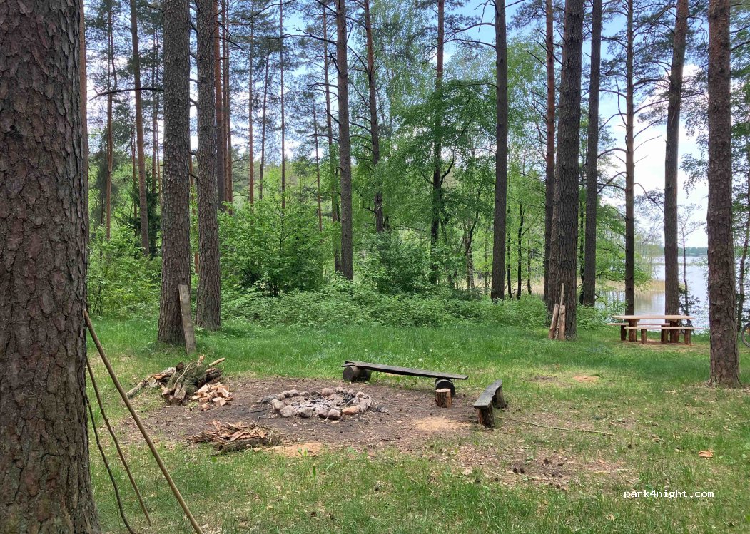 (16) Zelwa - — foto 3