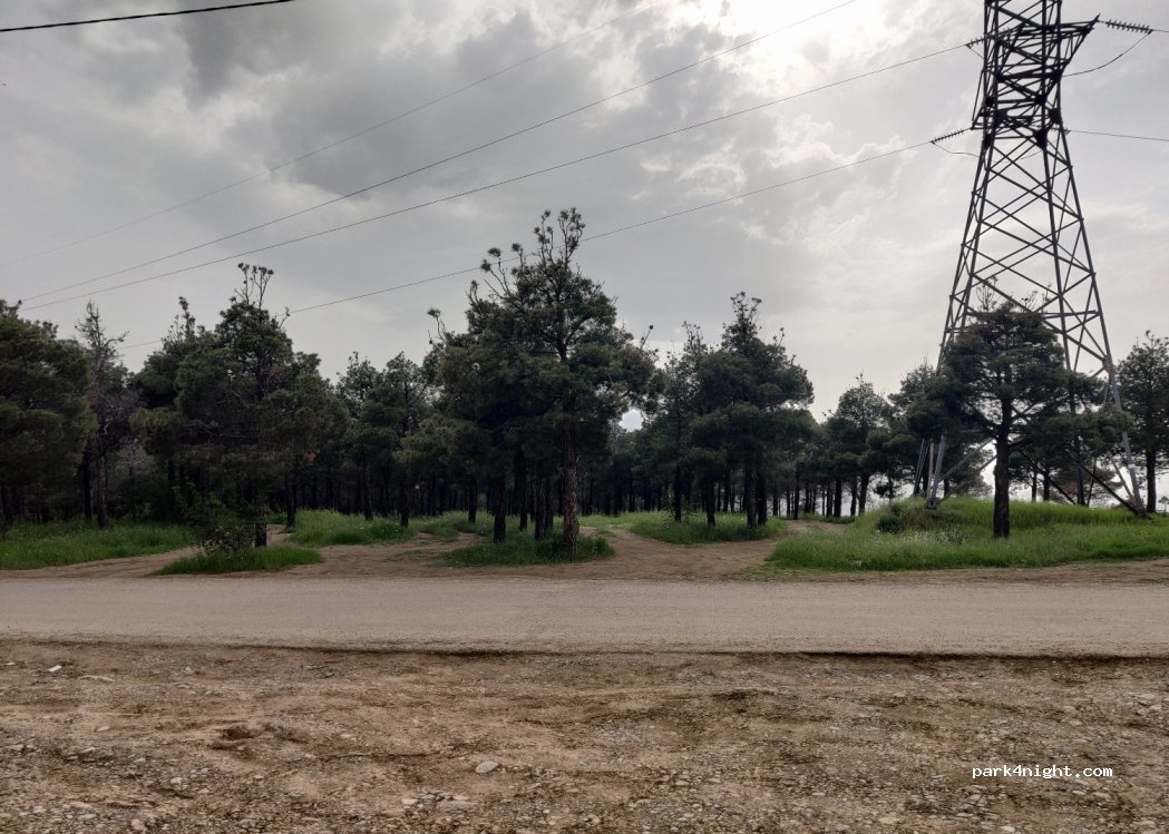 () T'bilisi - — foto 2