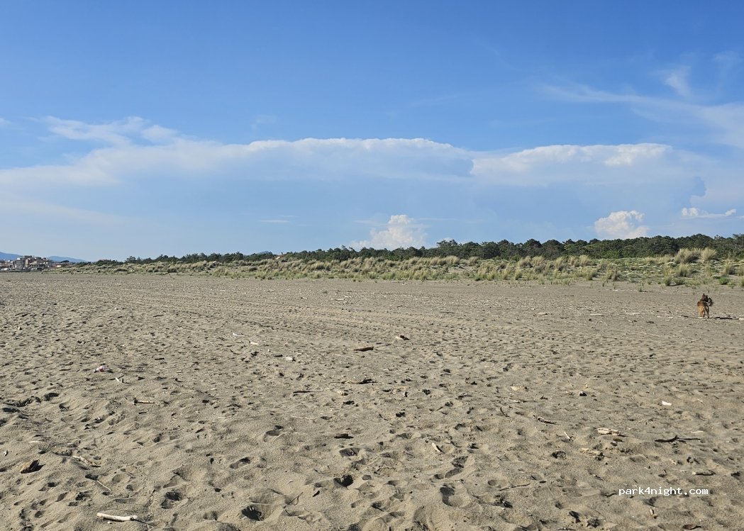 (58100) grosseto - 18 Via Morbello Vergari — foto 3