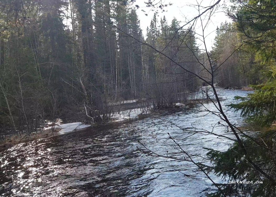 (840 60) Grassjö - — foto 2