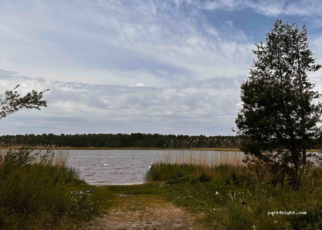 (1016) Rīga - Lielā iela — foto